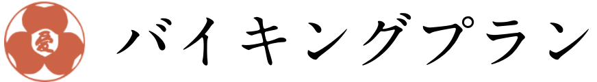 バイキングプラン